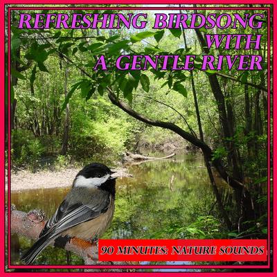 Refreshing Birdsong with a Gentle River: 90 Minutes: Nature Sounds By Nature Sounds's cover