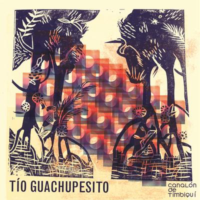 Tío Guachupesito By Grupo Canalon de Timbiqui's cover