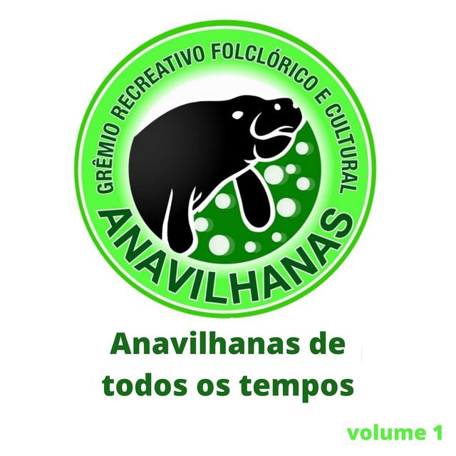 Grêmio Recreativo Folclórico e cultural Anavilhanas's avatar image