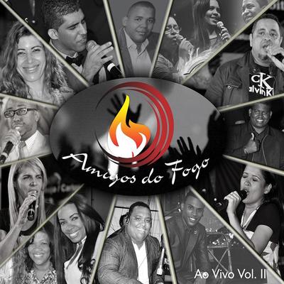 Davi (Ao Vivo) By Amigos do Fogo's cover