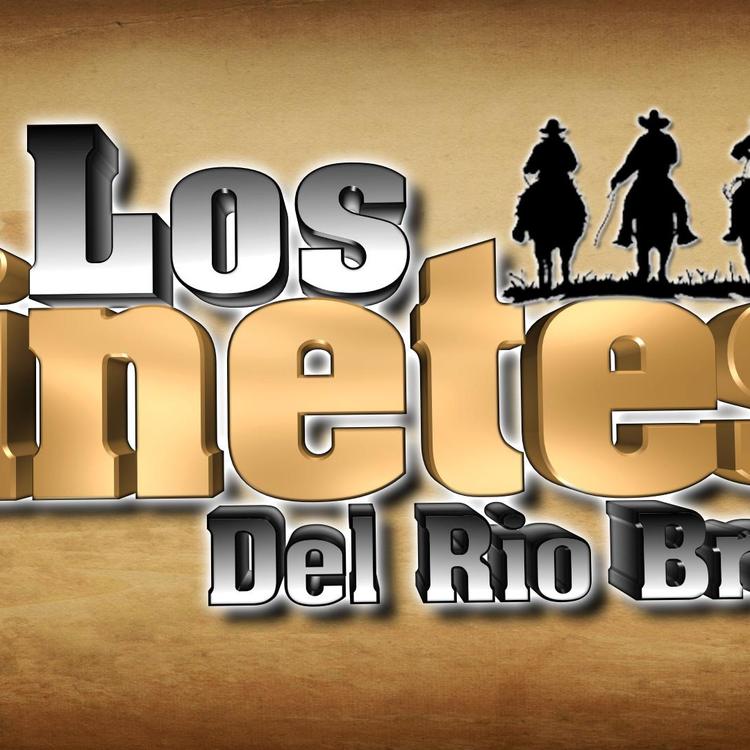 Los Jinetes del Bravo's avatar image