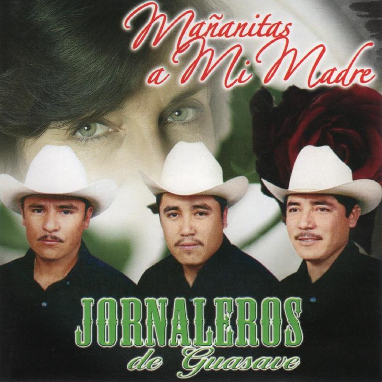 Jornaleros de Guasave's avatar image