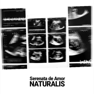 Naturalis's cover