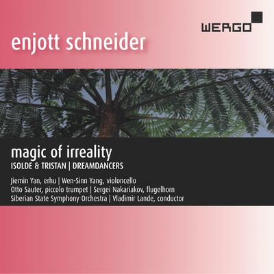 Schneider: Magic of Irreality's cover