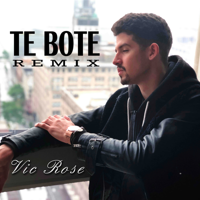 Te Boté Remix's cover