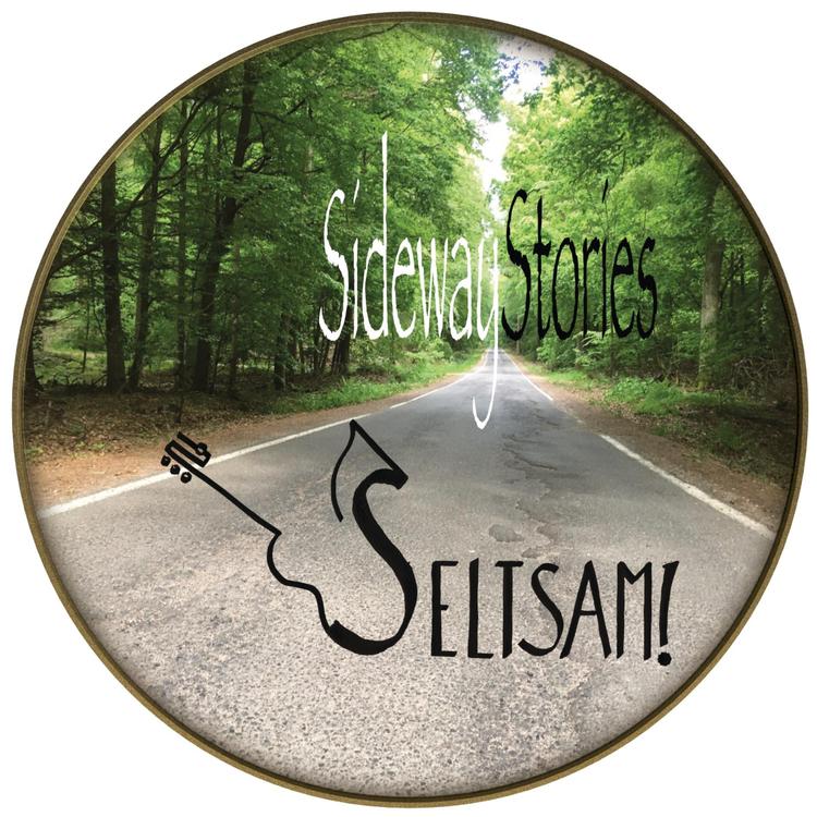 Seltsam!'s avatar image