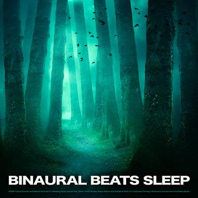 Calm Sleep Forest Music's cover