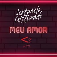 Sertanejo Estilizado's avatar cover
