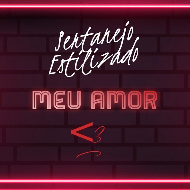 Sertanejo Estilizado's avatar image