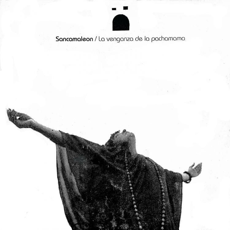 Sancamaleon's avatar image