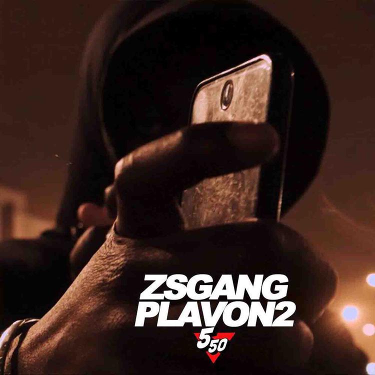 ZSGANG's avatar image