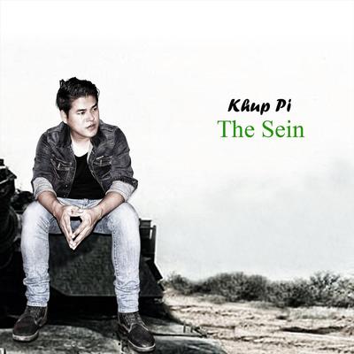 The Sein's cover