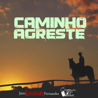 Caminho Agreste By Jairo Lambari Fernandes's cover