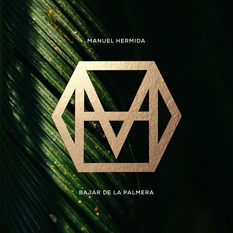 Manuel Hermida's avatar image