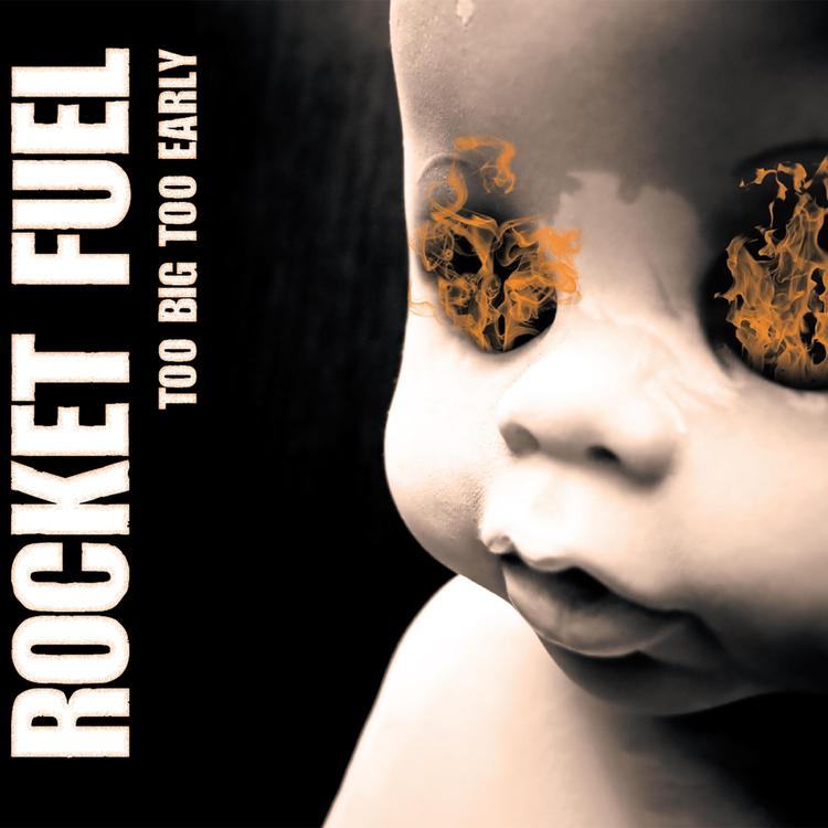 Rocket Fuel's avatar image