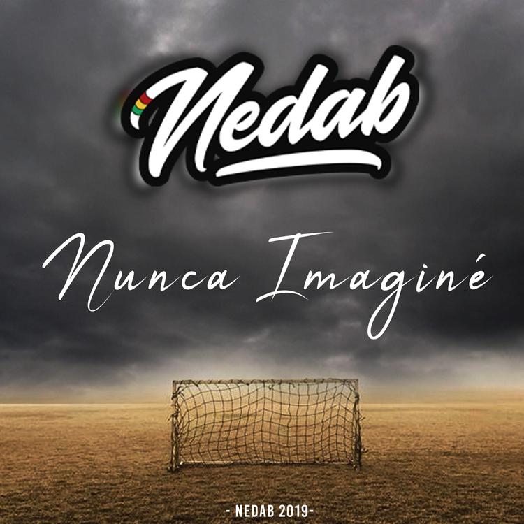 Nedab's avatar image