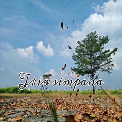 Trio simpana's cover