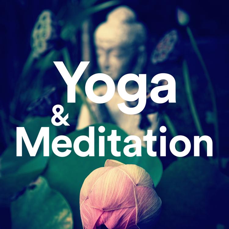 Yoga & Meditation's avatar image