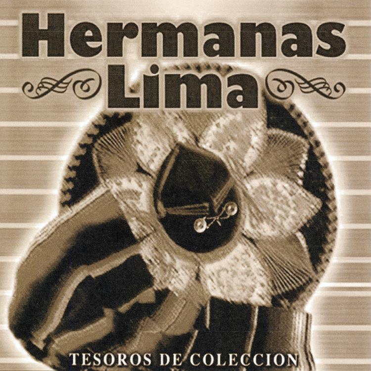 Hermanas Lima's avatar image