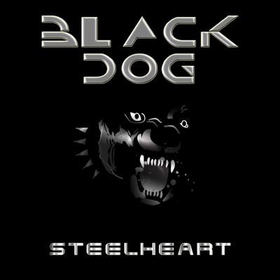 BLACK DOG's cover