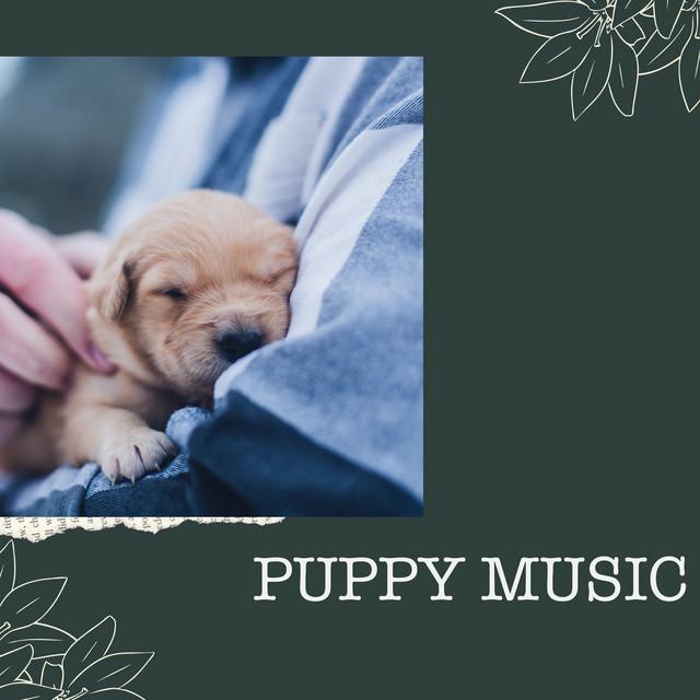 Puppy Music's avatar image