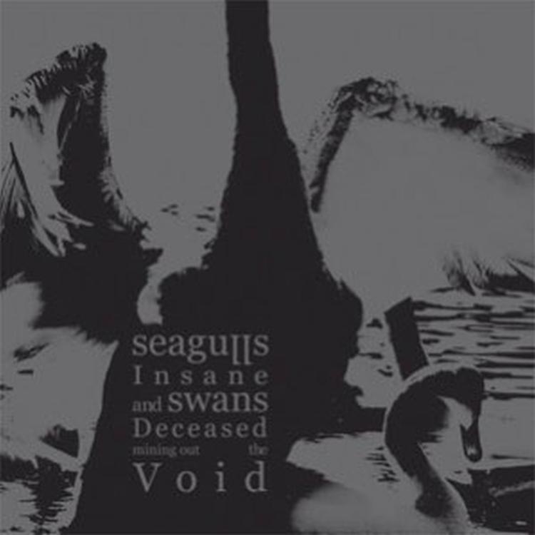 Seagulls Insane and Swans Deceased Mining Out The Void's avatar image