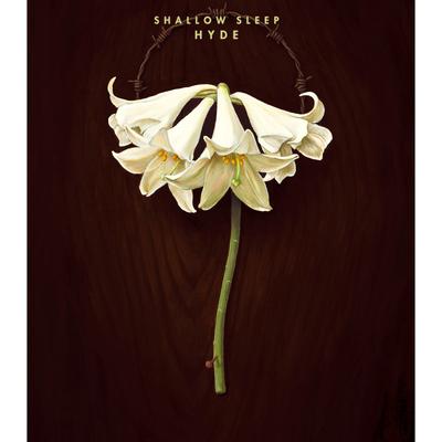 SHALLOW SLEEP (english ensemble)'s cover