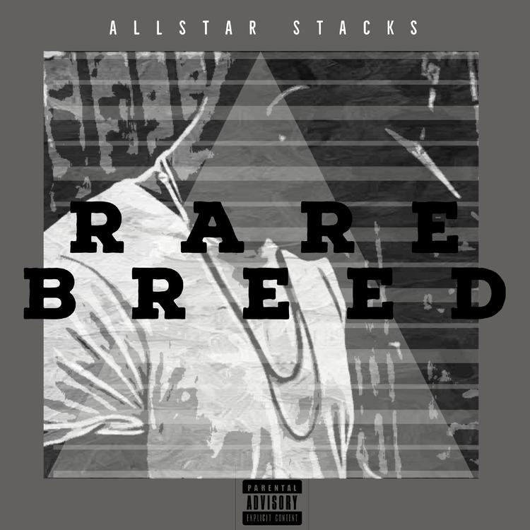 Allstar Stacks's avatar image