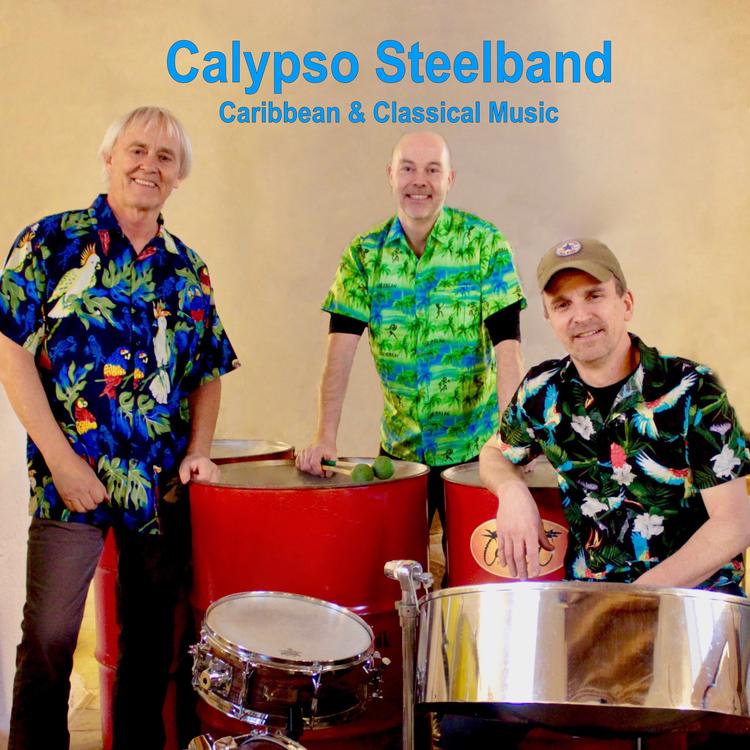 Calypso Steelband's avatar image