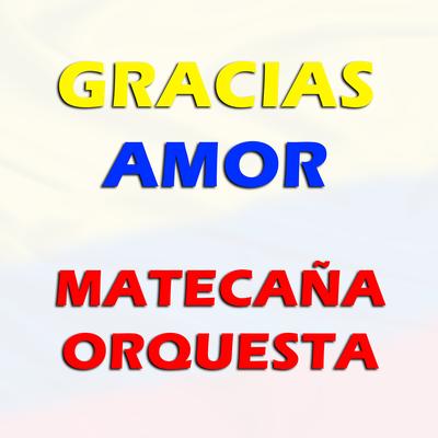 Gracias Amor's cover