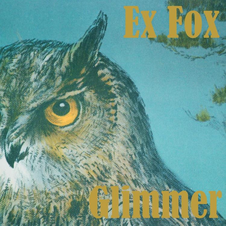 Ex Fox's avatar image