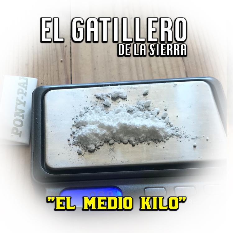 El Gatillero de La Sierra's avatar image