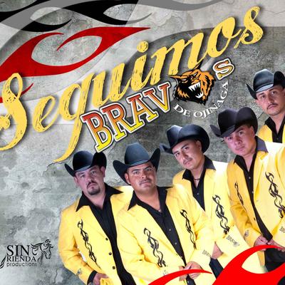 Los Bravos De Ojinaga's cover