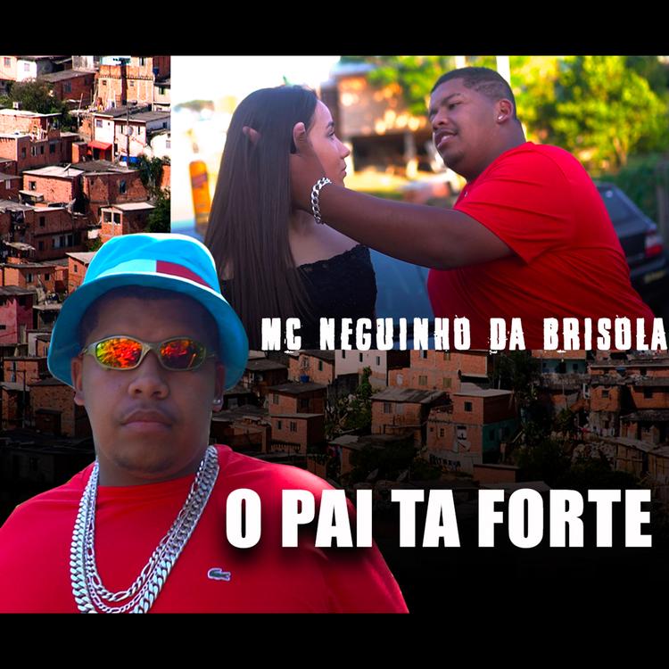 MC Neguinho da Brisola's avatar image