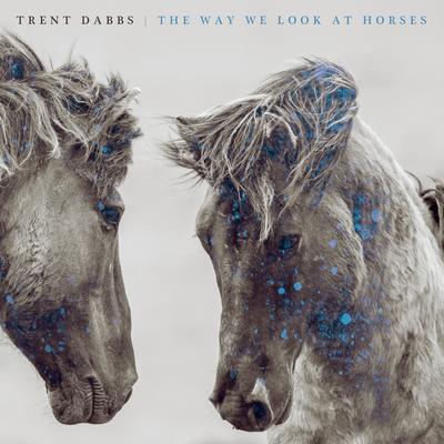 The Way We Look at Horses By Trent Dabbs's cover