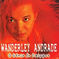 Wanderley Andrade's avatar cover