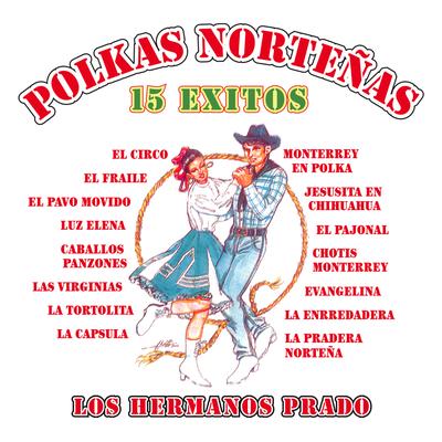 Polkas Norteñas: 15 Éxitos's cover