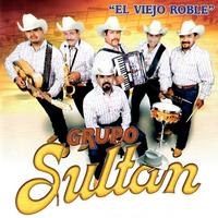 Grupo Sultan's avatar cover