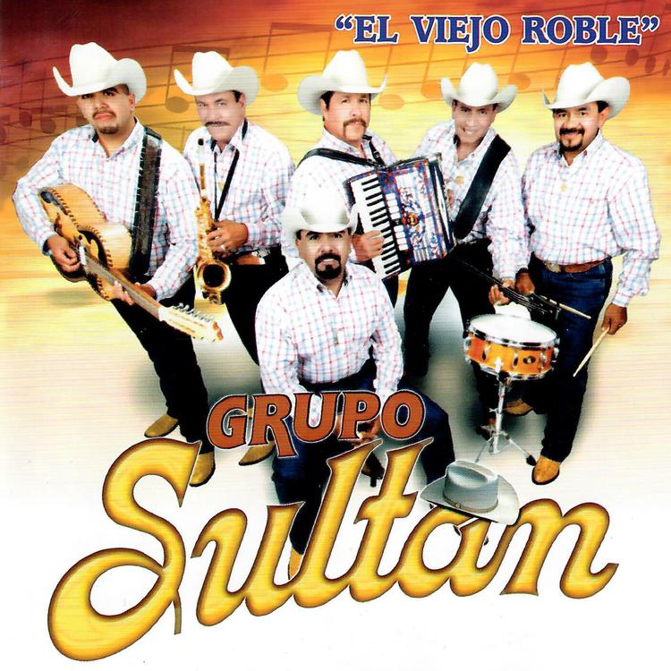 Grupo Sultan's avatar image