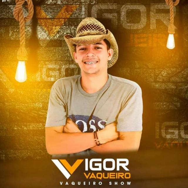 IGOR VAQUEIRO OFICIAL's avatar image
