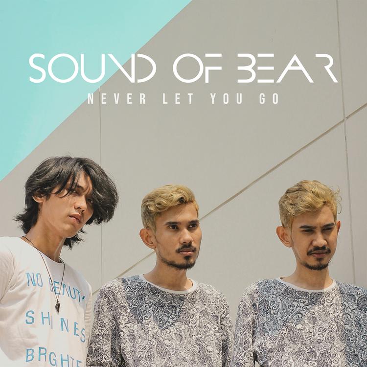 Sound of Bear's avatar image