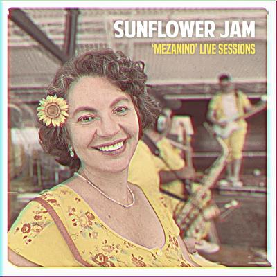 Desperdiçou (Live) By Sunflower Jam, Maíra Guedes's cover