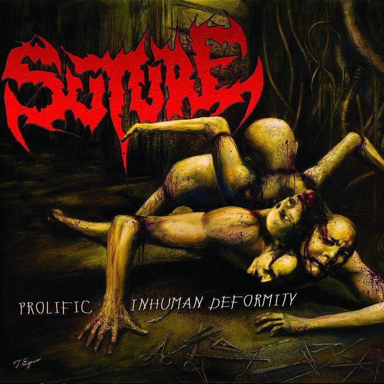 Suture's avatar image