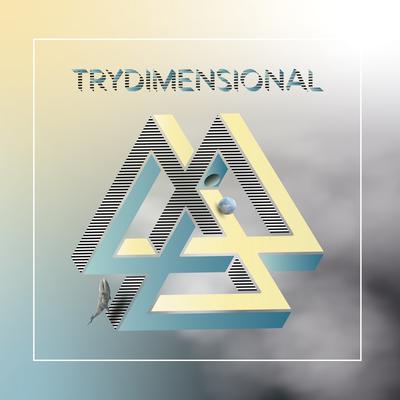 Trydimensional's cover