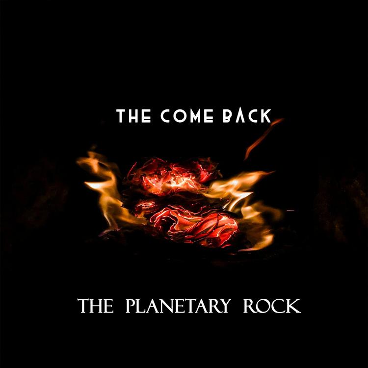 The Planetary Rock's avatar image