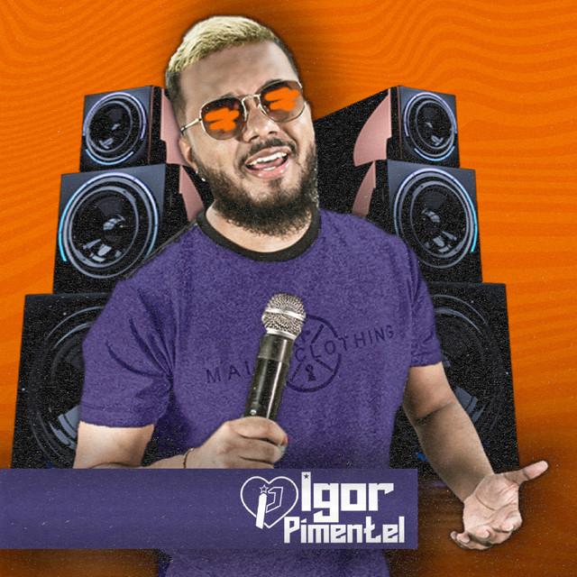 Igor Pimentel's avatar image