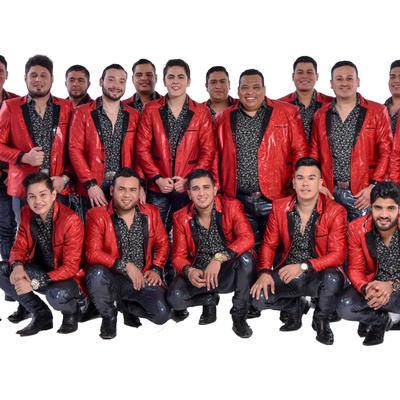 Banda Los Sebastianes's cover