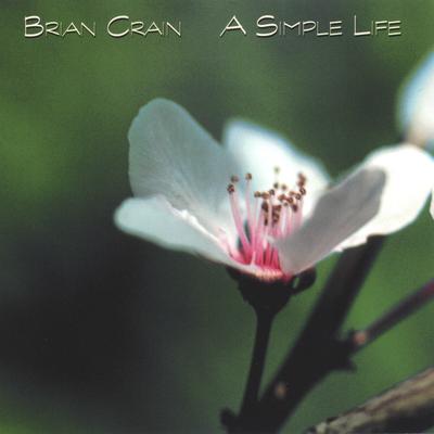 A Simple Life By Brian Crain's cover