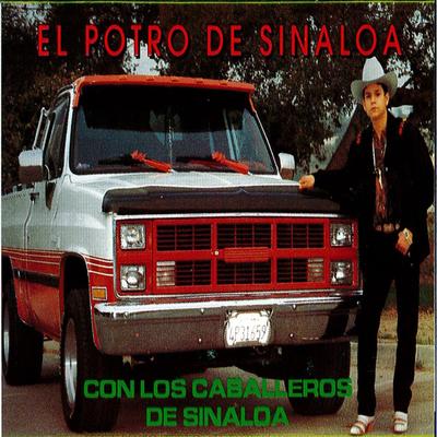 Soy De Puro Sinaloa's cover