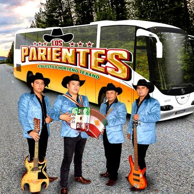 los parientes su estilo norteño texano's cover